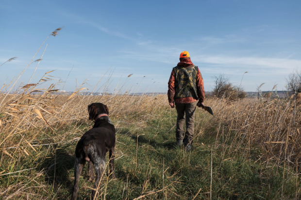 Hunter walking through open field with dog